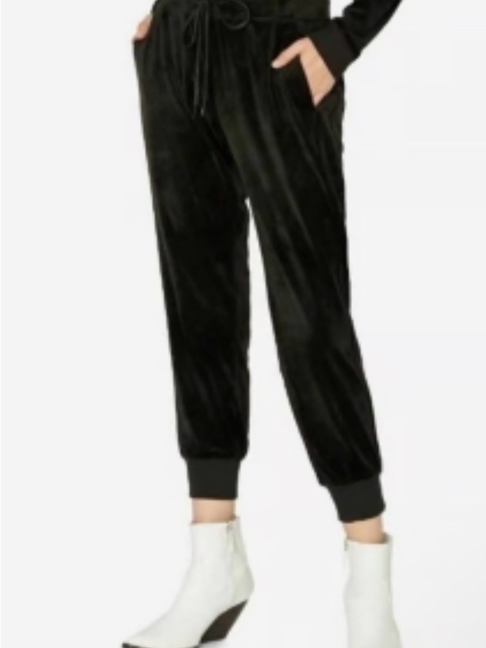 House of Harlow 1960 Velour Joggers